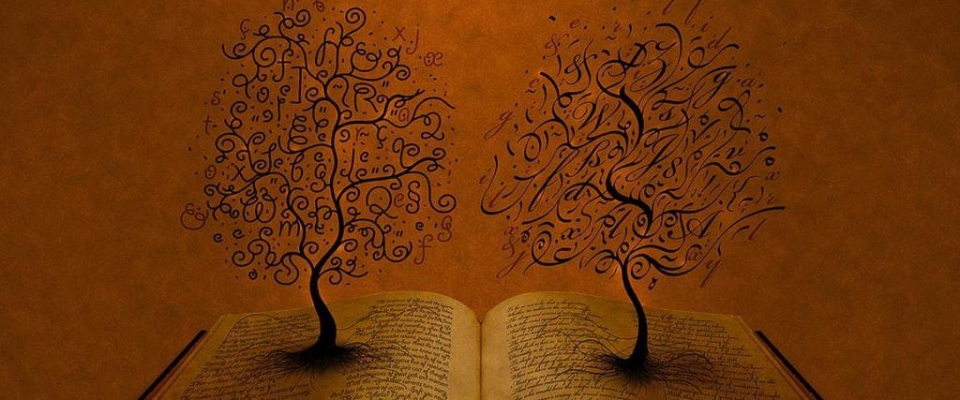 TREE IN BOOK