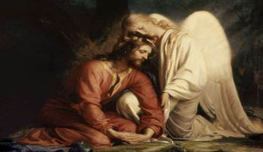 The Garden of Gethsemane